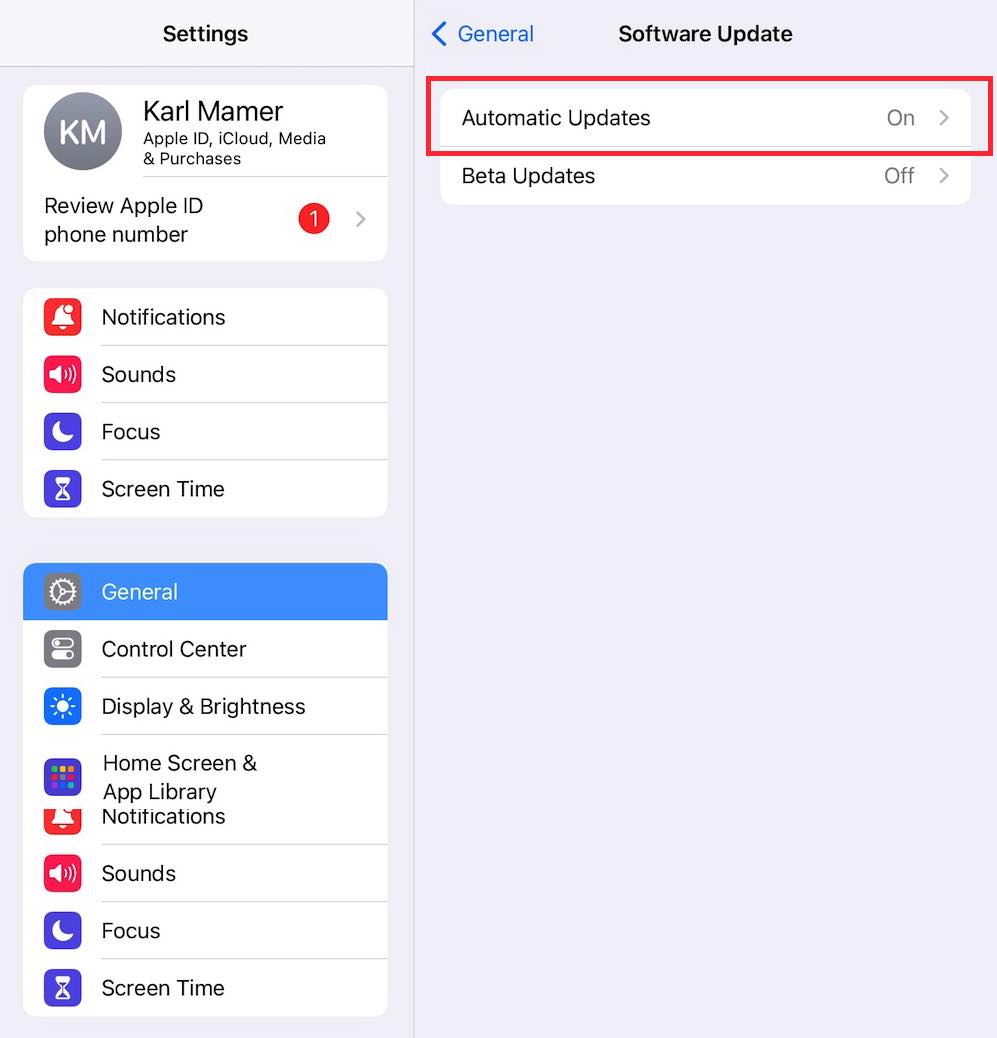 How to Disable Automatic Updates